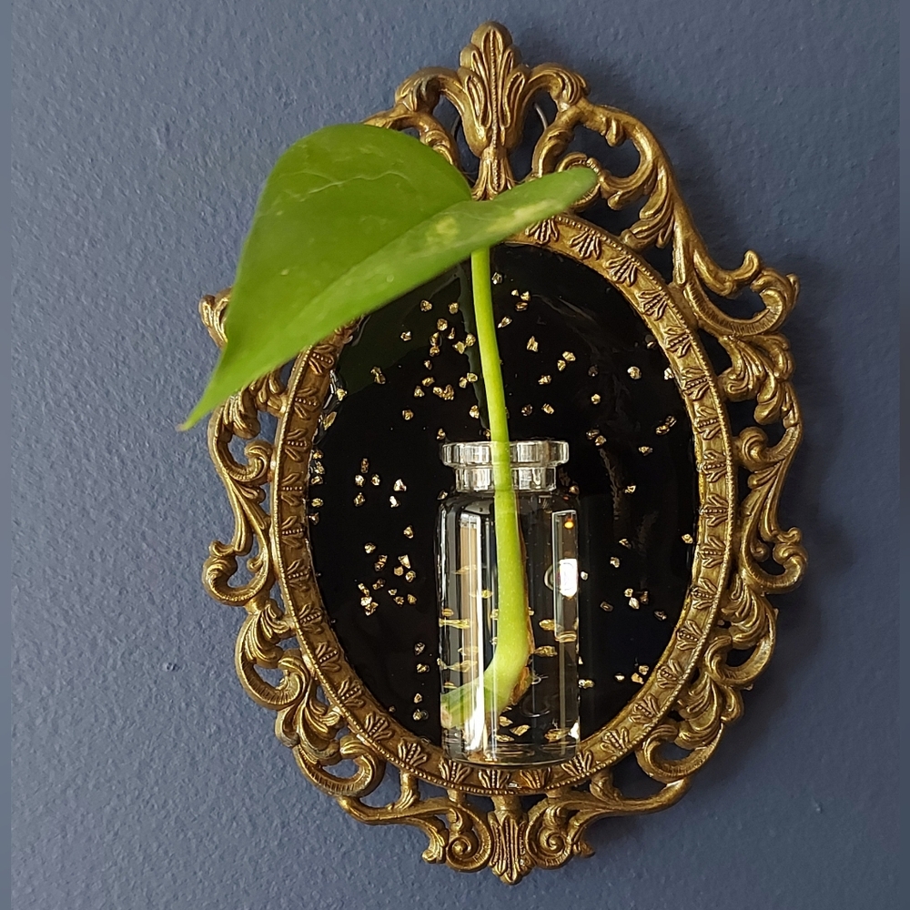 Ornate Gold Wall Vase/ Propagation Station with Black Backing - Home Wall Decor